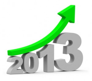 Posicionamiento-web-SEO-2013